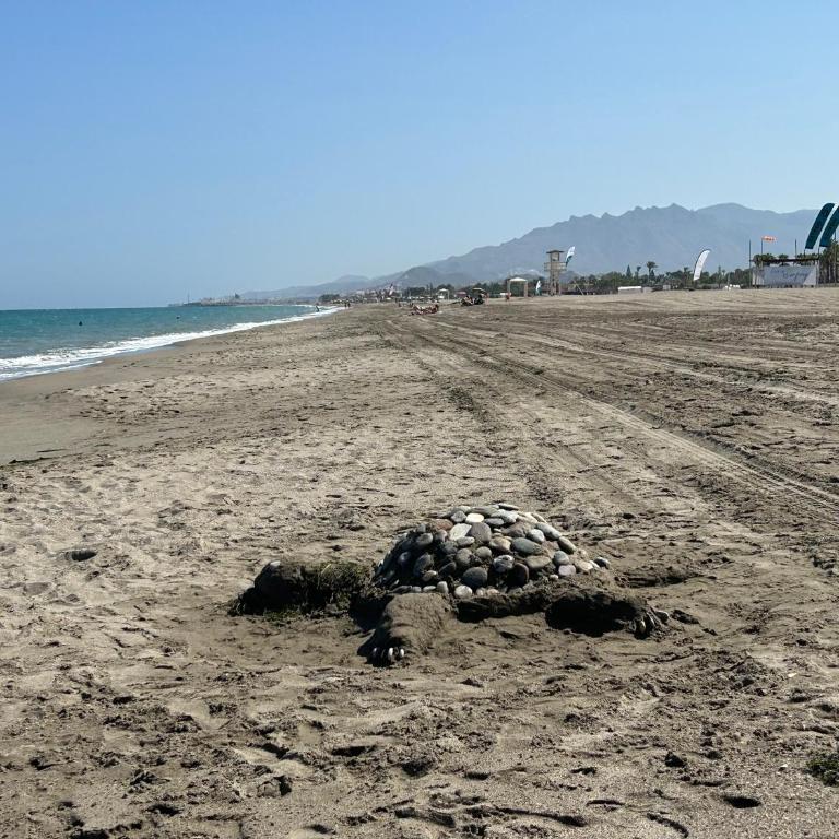 Ático junto al Mar,Acceso directo a la playa,Jardines de Nuevo Vera,WIFI - Apartamento de 1 dormitorio - 5