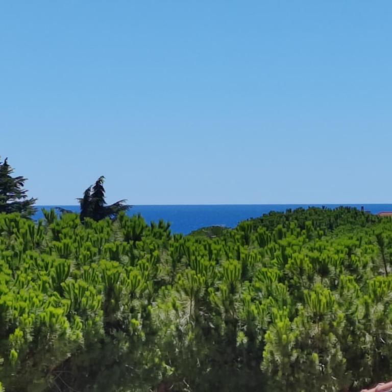 Casa Buena Vista - Appartamento con 3 Camere da Letto - 20