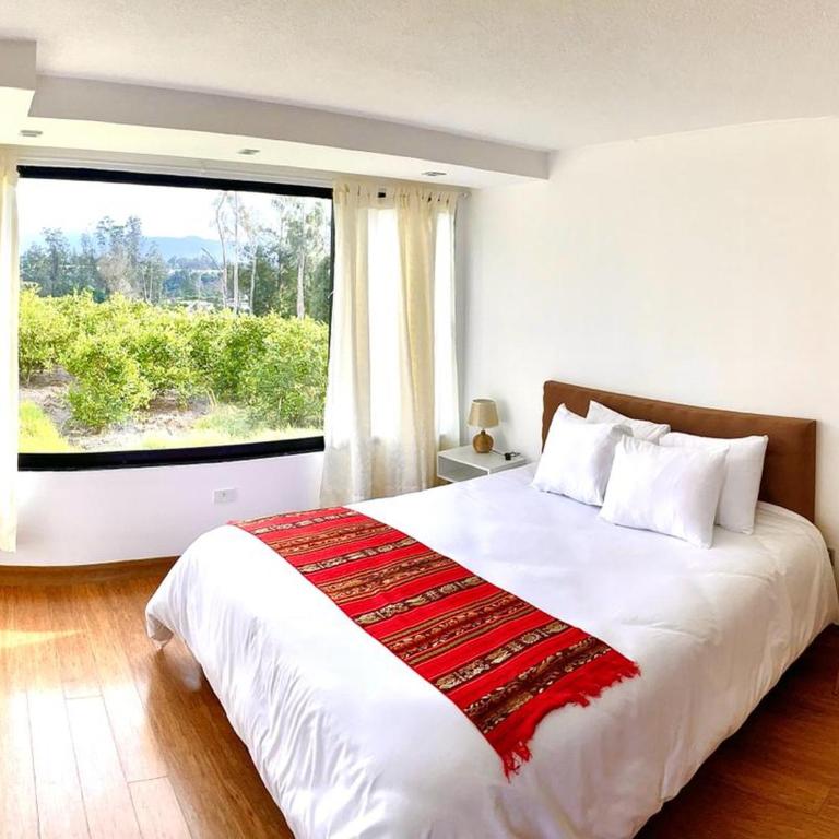 Quito Airport Suites Hotel - Habitación Superior - 1 cama grande - 1