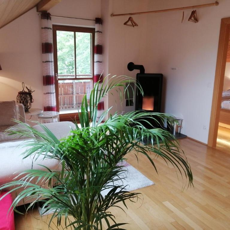 Appartement Moni / Golf & Ski - TOP 9 - Apartment mit Dusche - 1