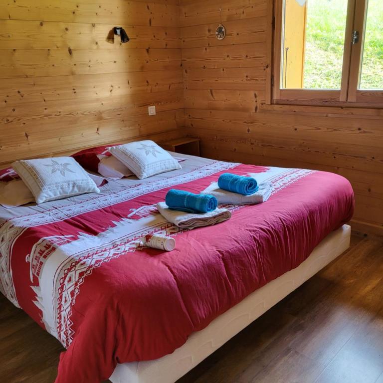 La petite Anfiane - Chalet - 14