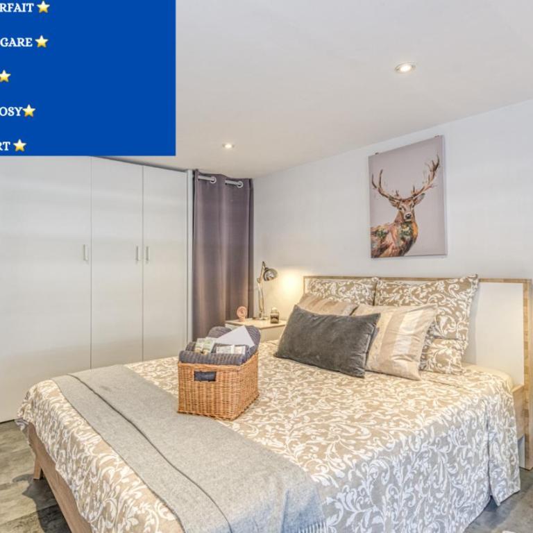Le Petit Parfait Confort Gare Hamac Netflix - Appartement 1 Chambre - 33