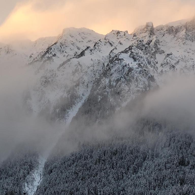 Chamonix sud -Le Grepon - Apartment mit 1 Schlafzimmer - 12