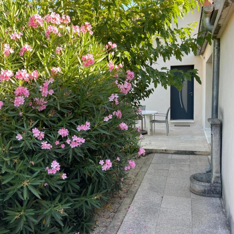 Petite maison avec cour près du centre - Maison 2 Chambres - 13