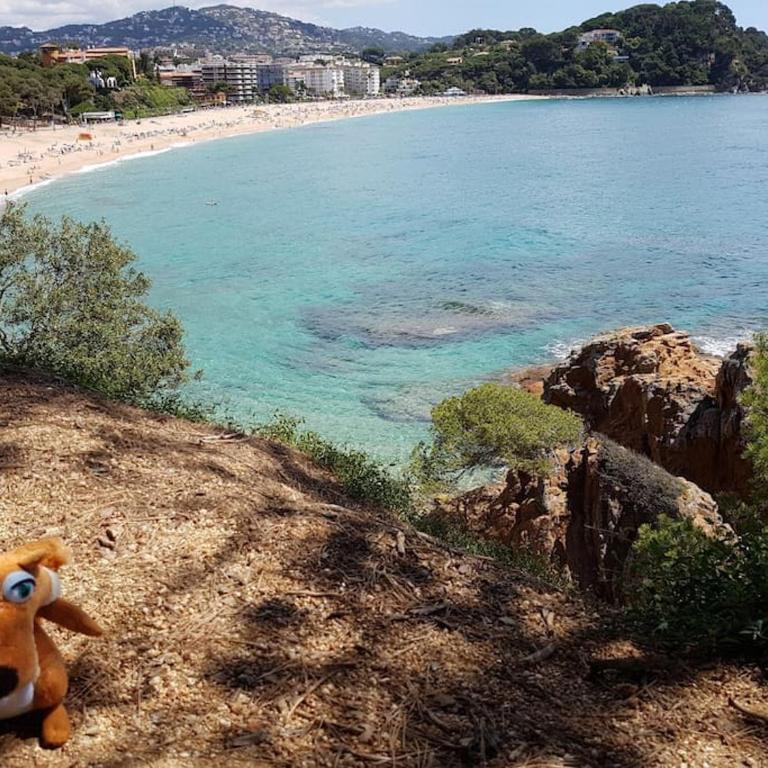RESIDENTIAL FLAT Lloret de Mar (Nex - Apartamento de 3 dormitorios - 9