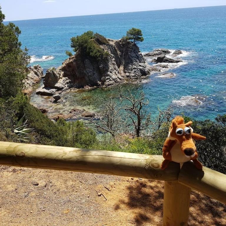RESIDENTIAL FLAT Lloret de Mar (Nex - Apartamento de 3 dormitorios - 14