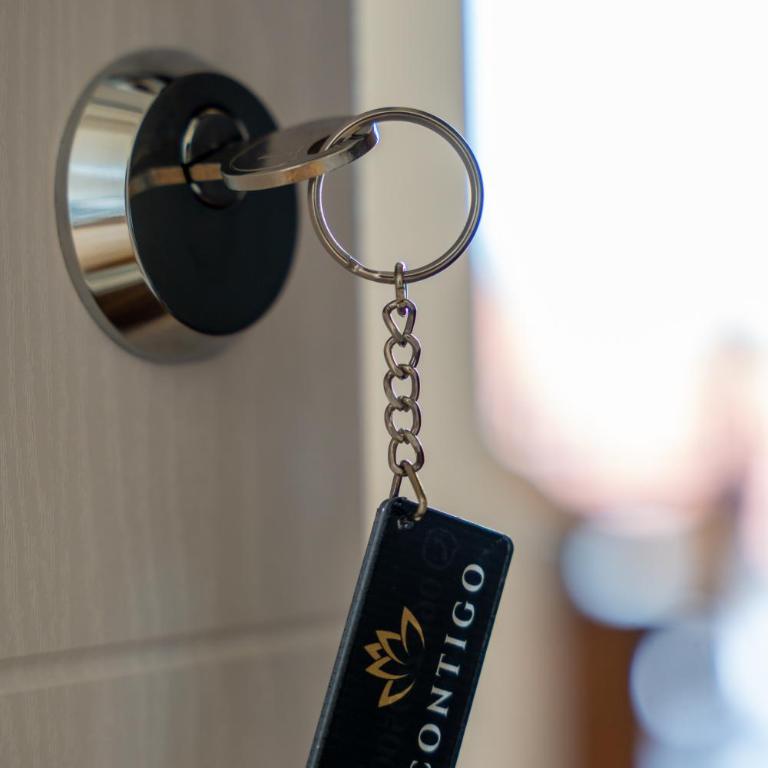 Contigo Apartman Vrnjacka Banja - Vrnjacka promenada - Apartman sa 1 Spavaćom Sobom - 23