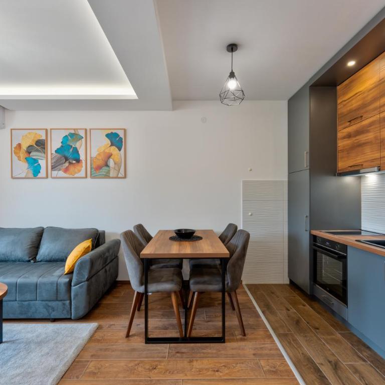 Contigo Apartman Vrnjacka Banja - Vrnjacka promenada - Apartman sa 1 Spavaćom Sobom - 6