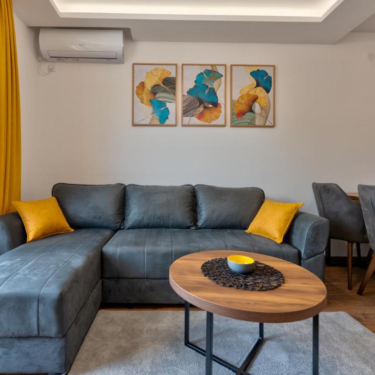 Contigo Apartman Vrnjacka Banja - Vrnjacka promenada - Apartman sa 1 Spavaćom Sobom - 3