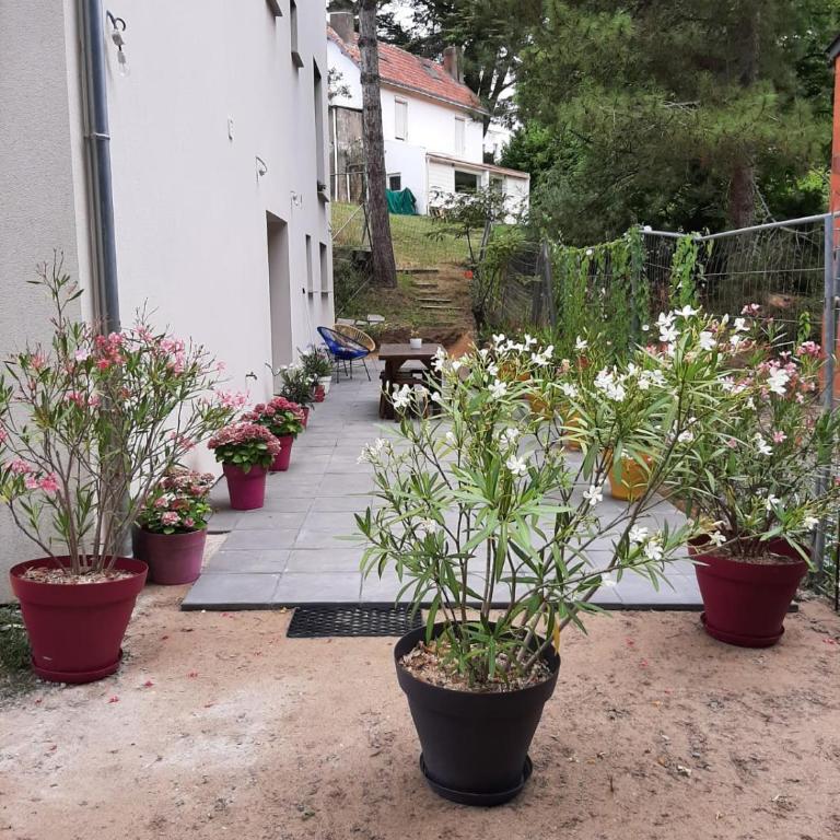 Lisière de la Forêt - Apartment mit 1 Schlafzimmer - 18