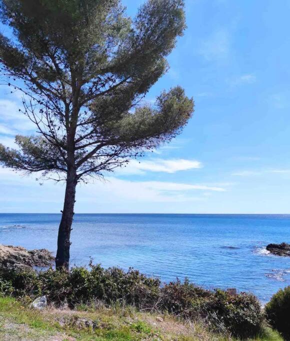 Golfe St Tropez 3 pièces à 2 min de plage - Apartment mit 2 Schlafzimmern - 8