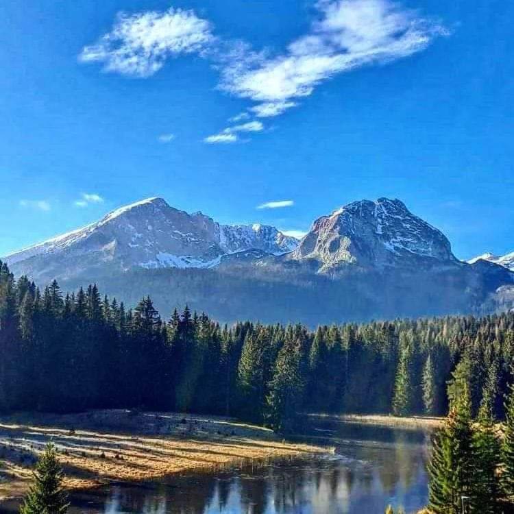 Brvnare Vujičic - Two-Bedroom House - 6