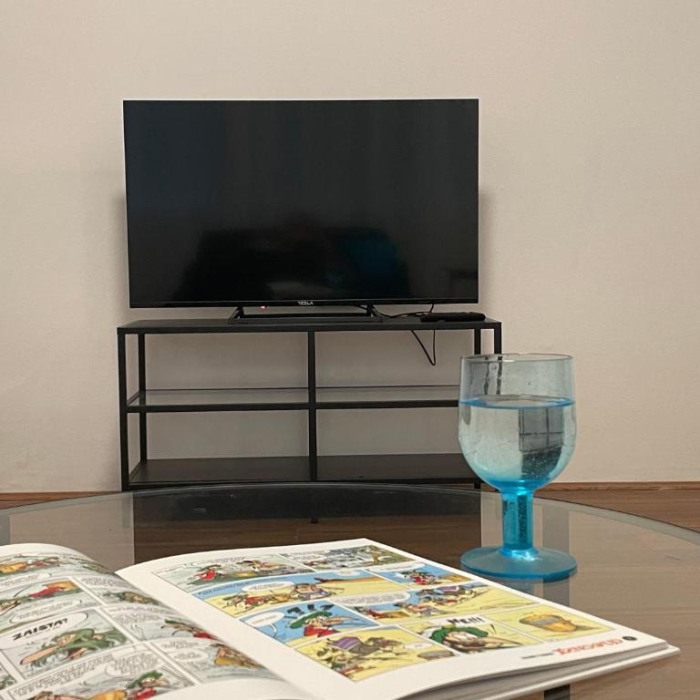 Comfortable and spacious apartment in one of Belgrade’s most exclusive neighbourhoods - Apartman sa 1 Spavaćom Sobom - 7