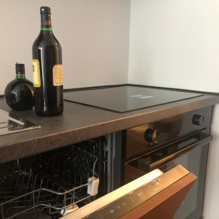 Comfortable and spacious apartment in one of Belgrade’s most exclusive neighbourhoods - Apartman sa 1 Spavaćom Sobom - 17