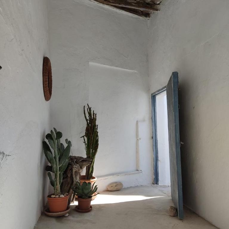 Nido de amor en Vejer - Apartamento Estudio - 18