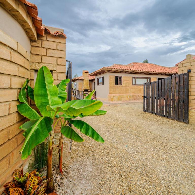 Casa Bugambilia - Three-Bedroom House - 50