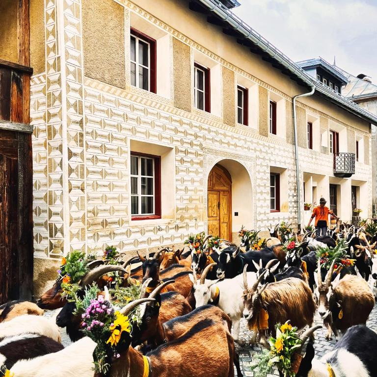 Ein Kraftort und architektonisches Juwel - Villa mit 3 Schlafzimmern - 7
