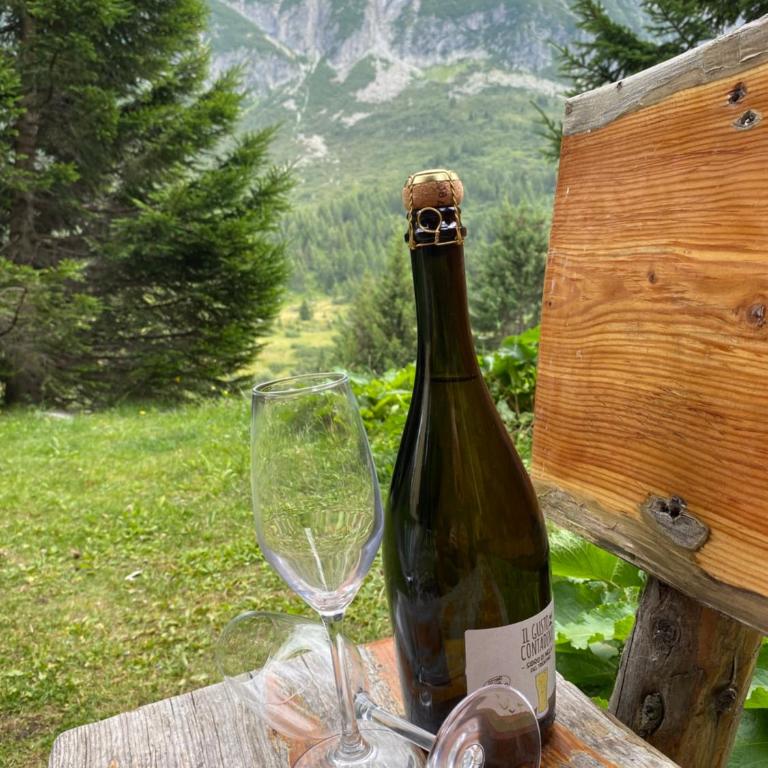 La Casa di Mares - Ski, Bike&Hike - Appartamento con Terrazza - 15