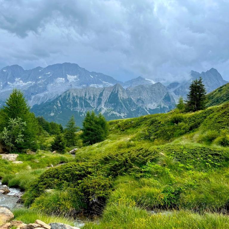 La Casa di Mares - Ski, Bike&Hike - Appartamento con Terrazza - 38