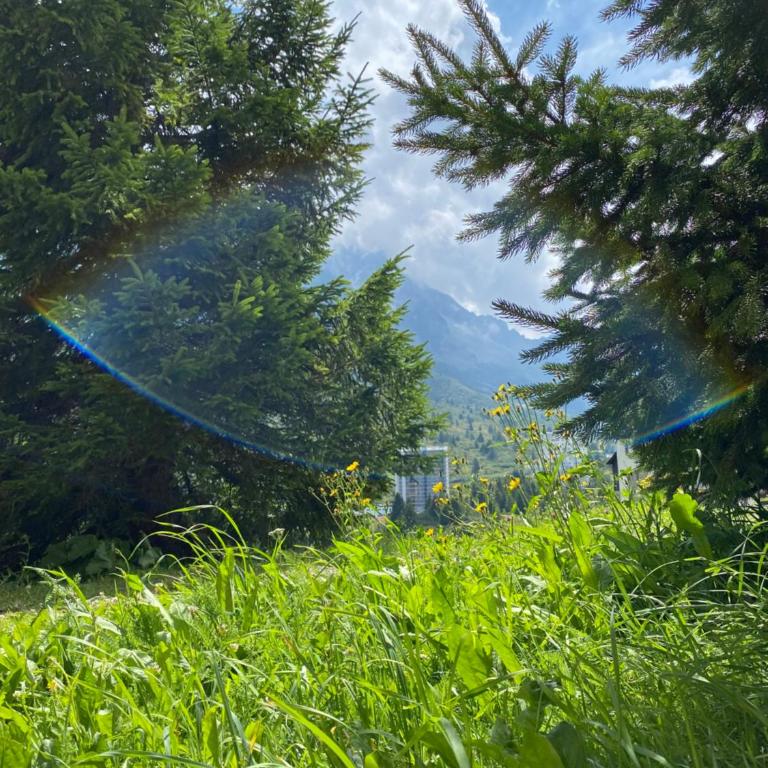 La Casa di Mares - Ski, Bike&Hike - Appartamento con Terrazza - 41