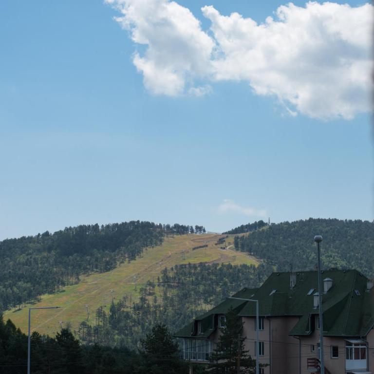 Apartman Mima Divcibare - Apartman sa 1 Spavaćom Sobom - 41