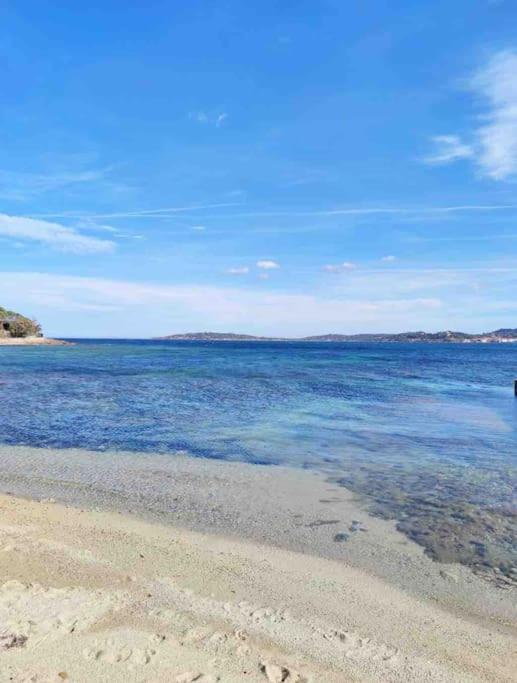 Golfe de St Tropez 3 pièces jardin piscine privée - Apartment mit 2 Schlafzimmern - 53