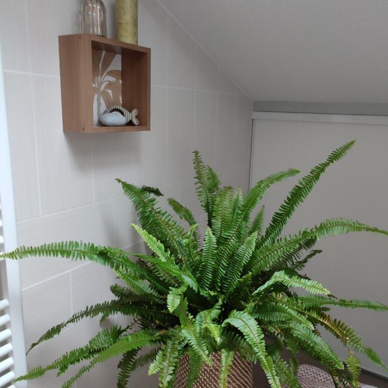 Location de charme T3 au 2e étage et dernier étage - Apartamento de 2 dormitorios - 41