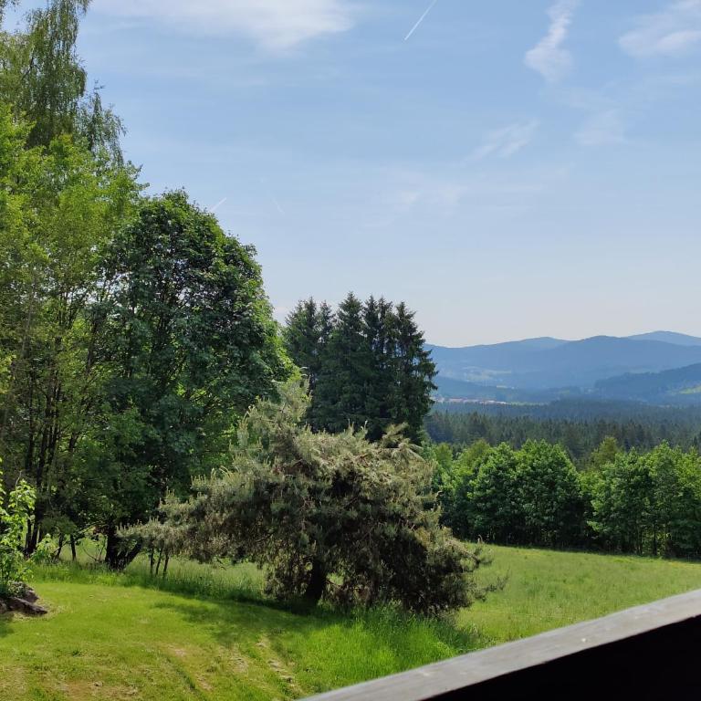 Altes Forsthaus Bodenmais - Apartment mit 2 Schlafzimmern - 8