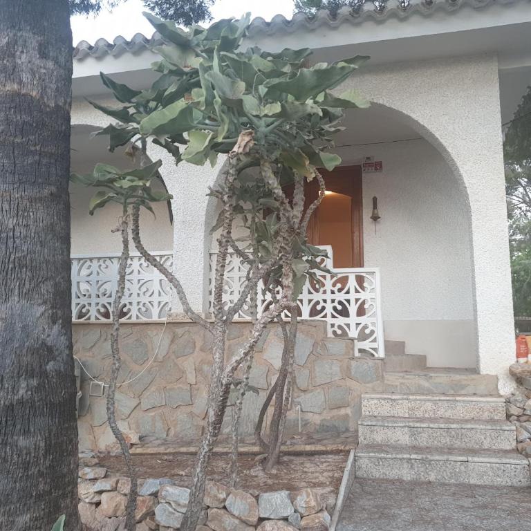 104 CASA OLIVIA - Three-Bedroom House - 65