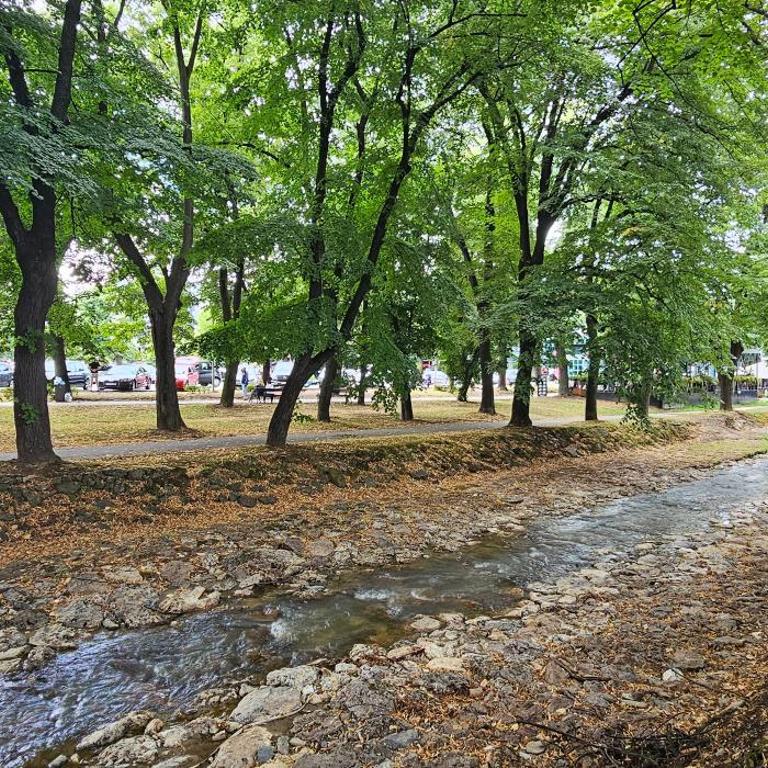 Vrnjački Lux free parking GARAGE - Apartman sa 1 Spavaćom Sobom - 26