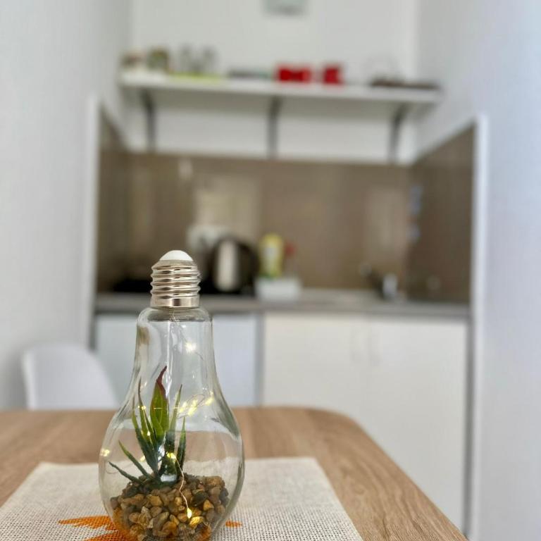 Montenegrina Apartment - Studio - 15