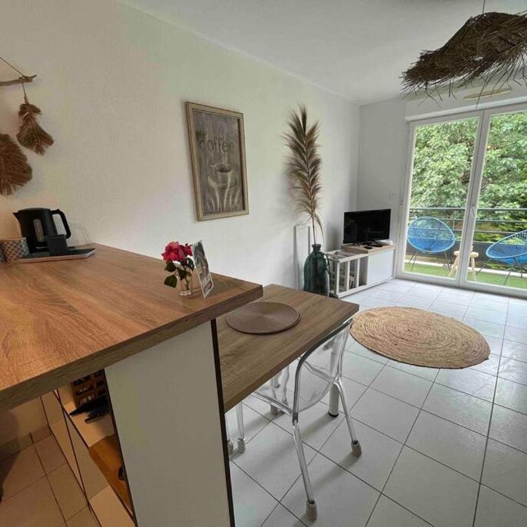 Appartement cosy, calme, lumineux, balcon, parking - Apartamento de 1 dormitorio - 9
