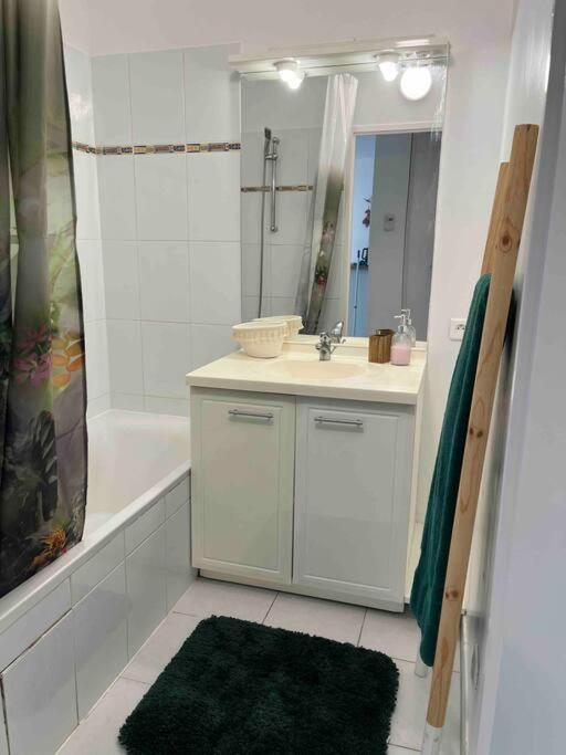 Appartement cosy, calme, lumineux, balcon, parking - Apartamento de 1 dormitorio - 16