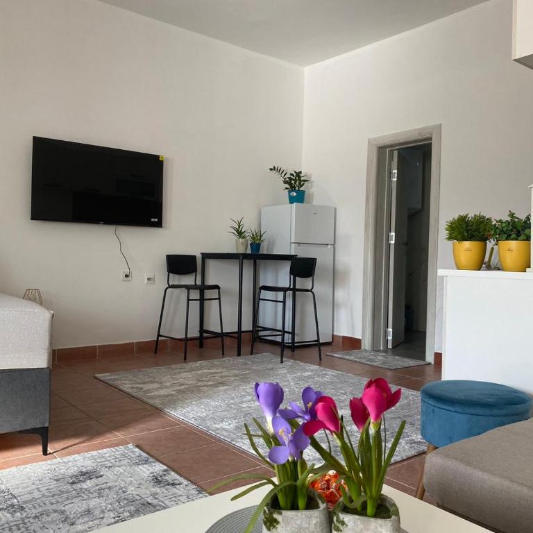 Olive apartment - Superior Apartman - 1