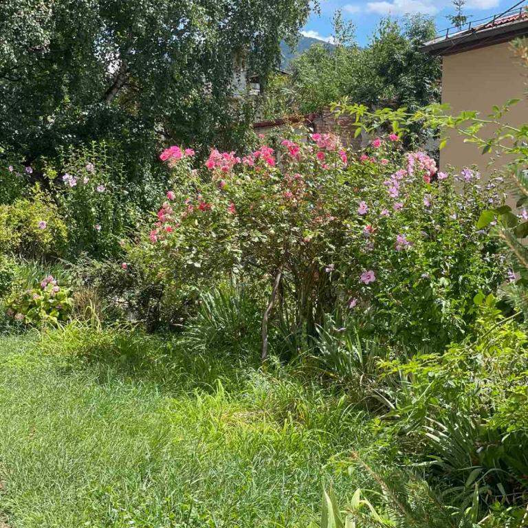 House of Sarajevo - Apartman sa 1 Spavaćom Sobom - 11