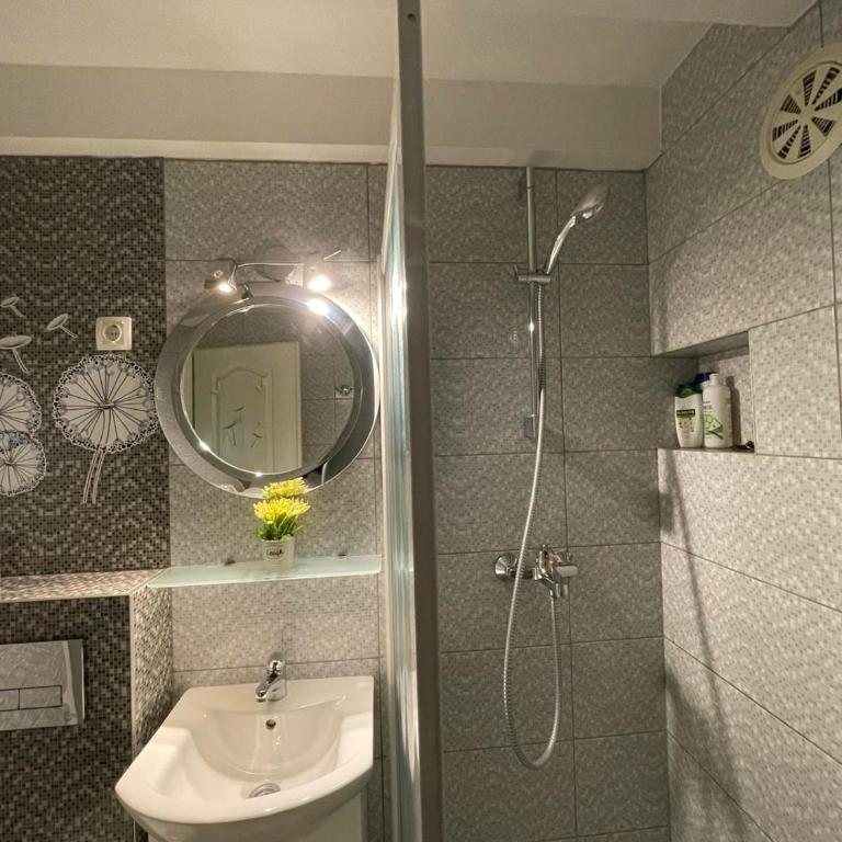 House of Sarajevo - Apartman sa 1 Spavaćom Sobom - 13