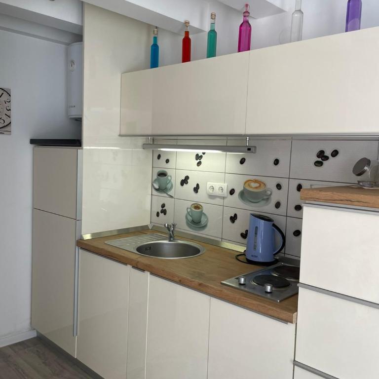 House of Sarajevo - Apartman sa 1 Spavaćom Sobom - 16