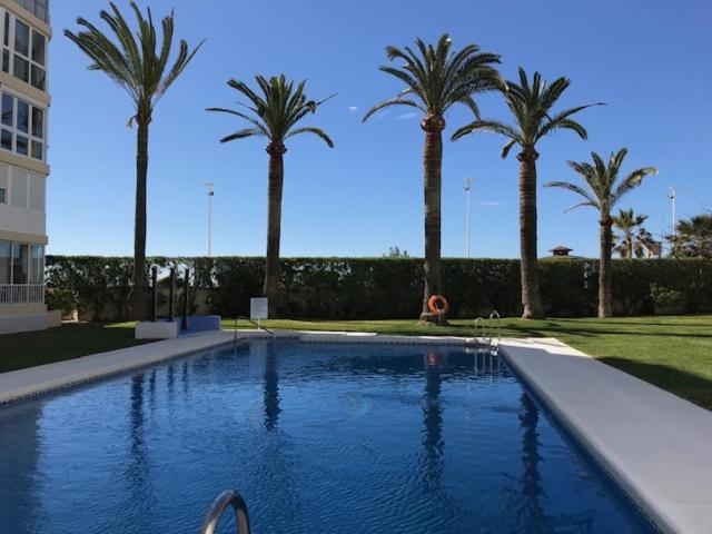 Torresol406 - Apartamento de 1 dormitorio - 17