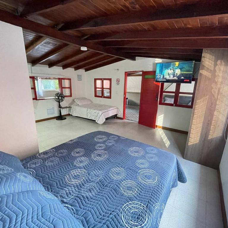 Vacaciones con tu mascota Loft con terraza Mayorca - Apartamento de 1 dormitorio - 3
