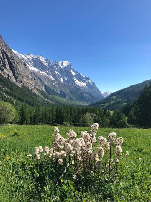 NEW Alpe Veille, Chalet Centro La Thuile 2 Bagni e Garage Privato - Appartement 1 Chambre - 53