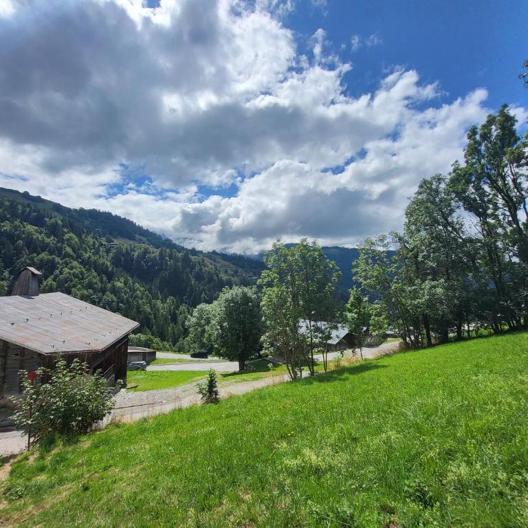 Appartement cosy face aux Aravis - Appartamento con 1 Camera da Letto - 25