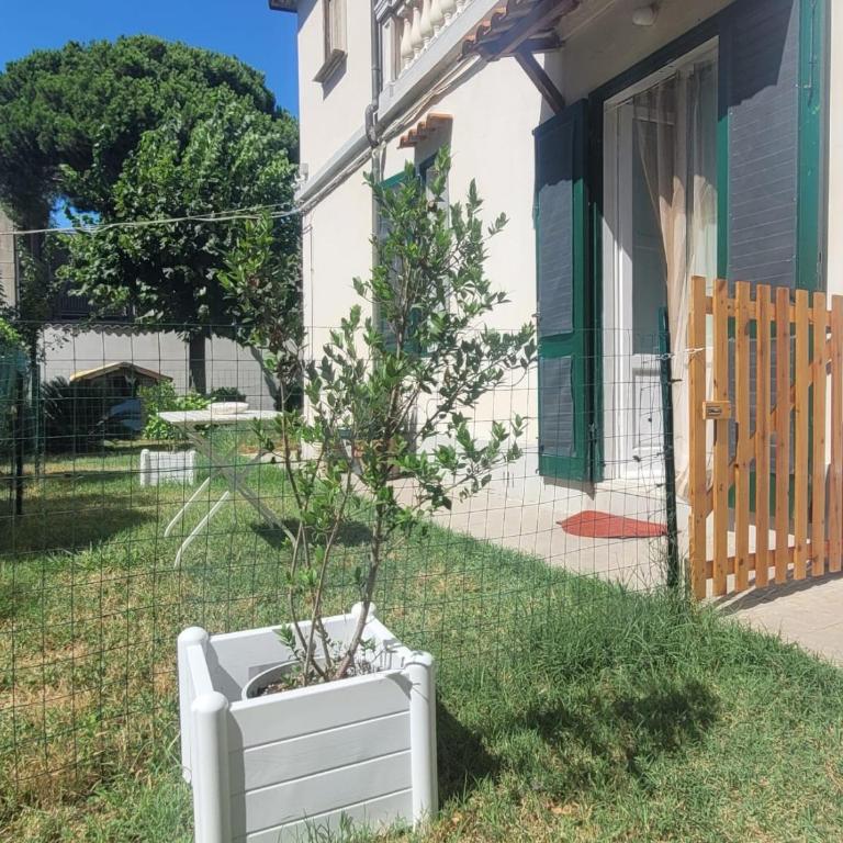 Casa Siria - One-Bedroom Apartment - 2