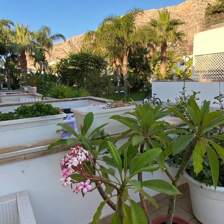 Le Palme House Isola delle Femmine - Casa con 1 Camera da Letto - 36