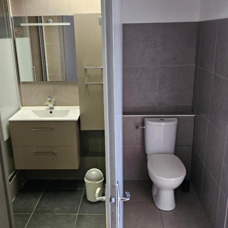 Grand studio climatisé - Apartamento de 1 dormitorio - 3