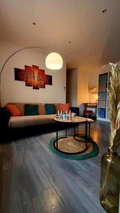 Magnifique T2 - Appartement 1 Chambre - 5