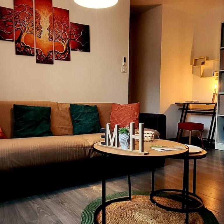 Magnifique T2 - Appartement 1 Chambre - 10