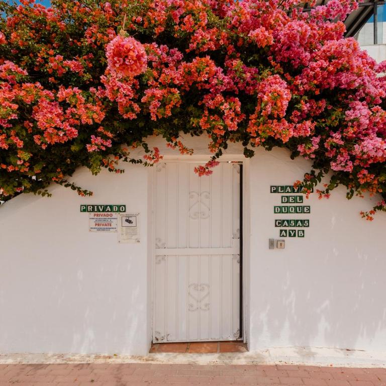 Holiday home, with direct access to the beach, sea views and south facing, in Puerto Banús - Apartment - 24