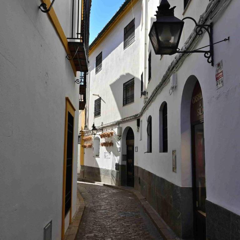 Aljara Mezquita - Apartamento de 1 dormitorio - 24