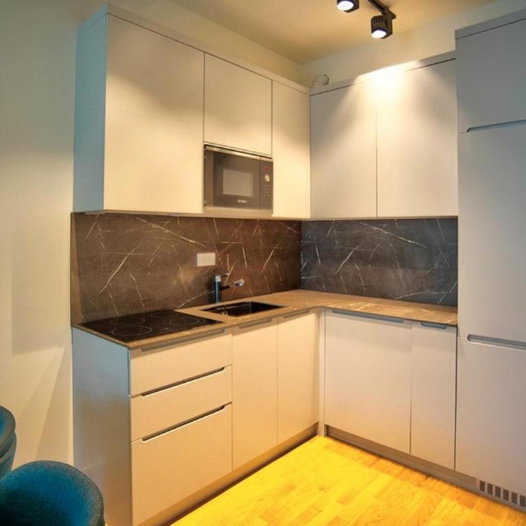 Skyline Premium Residences - Apartman sa 1 Spavaćom Sobom - 9