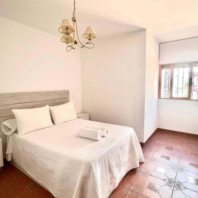 APARTAMENTO LA MURALLA - Apartamento de 1 dormitorio - 2